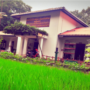 Road to Eye-catching Landscape