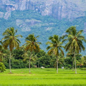 Montain and Winter Cold Weather