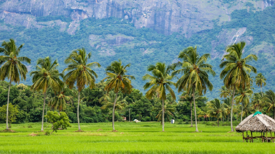 Untitled design (2)~1